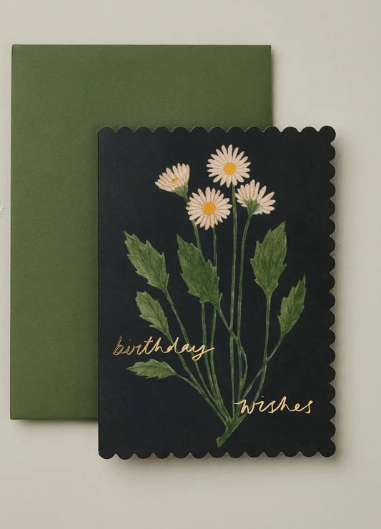Botanical Daisy 'birthday Wishes' Card