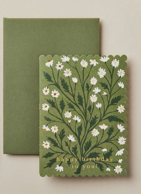 Daisy 'happy Birthday To You!' Card