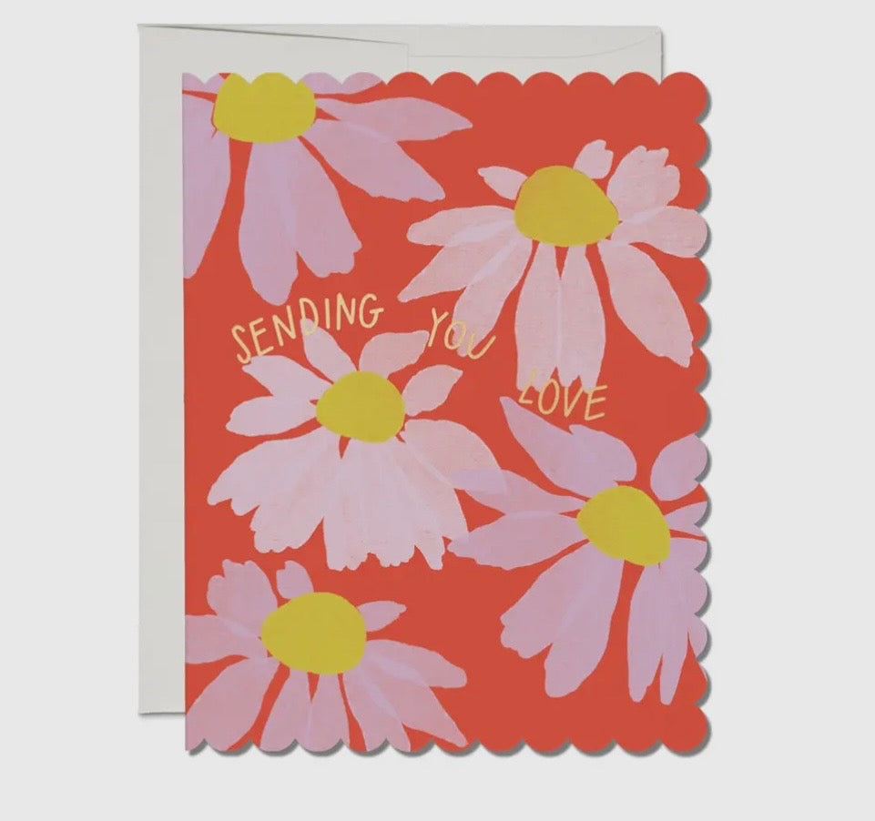 Scalloped Coneflower Sympathy Greeting Card