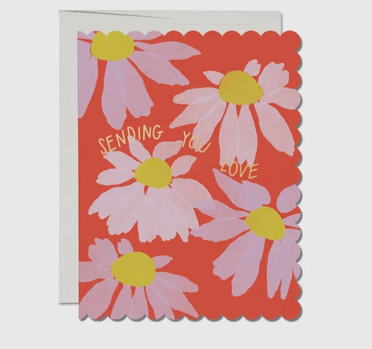 Scalloped Coneflower Sympathy Greeting Card